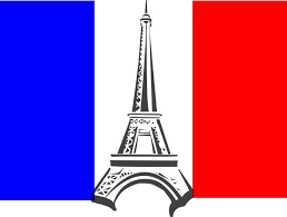 French Flag 
