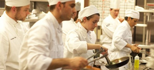Chef's in Training