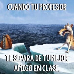 amigo