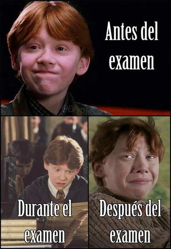 examen