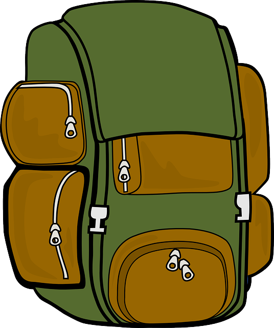 Safari Book bag