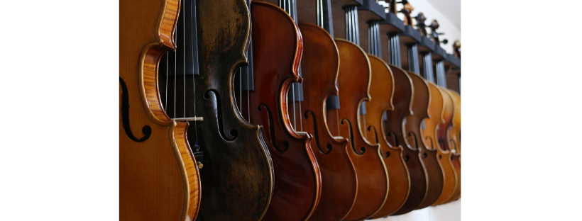 violins 