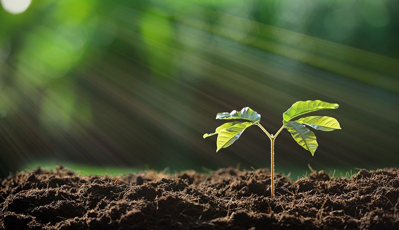 Source: https://www.hobbyfarms.com/grow-better-crops-from-healthy-soil/