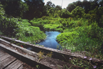 LeTort Spring Run LeTort Spring Run