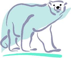 Polar Bear 